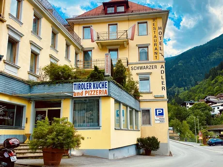 Schwarzer Adler