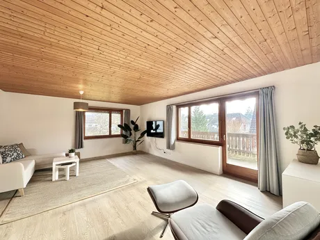 4543 Deitingen - Business Apartment