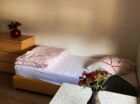 Guest