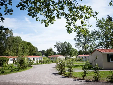 Ferienparadies Mühlenbach