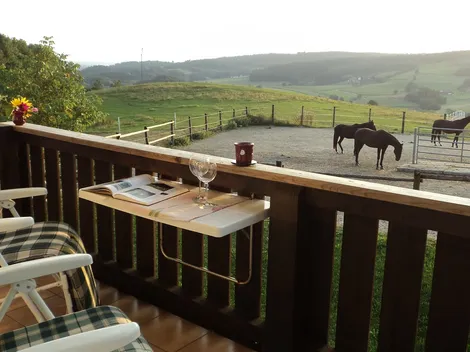 Ferienwohnung Niederbayern Alm