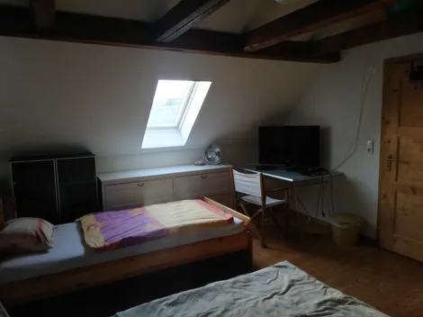 Holledauer Nest