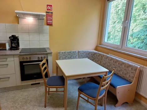 Großzügiges Boardinghouse mit riesigem Park in Mittweida - 4