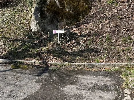 CapoBnB Zental, Parken, Garten - 8