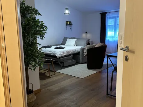 grosszügige Monteurswohnung in StaldenVS Nahe Lonza