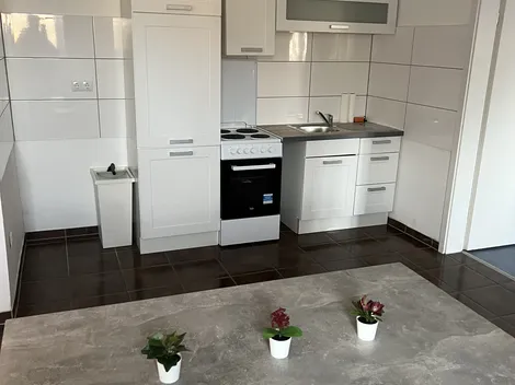 Monteurzimmer / Wohnungen Dunkelwolf - 18