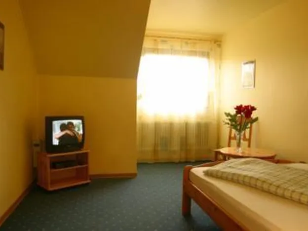 Hotel-Gasthaus Bajazzo
