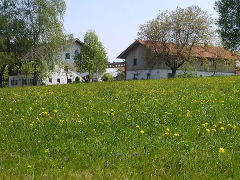 Ferienhof March