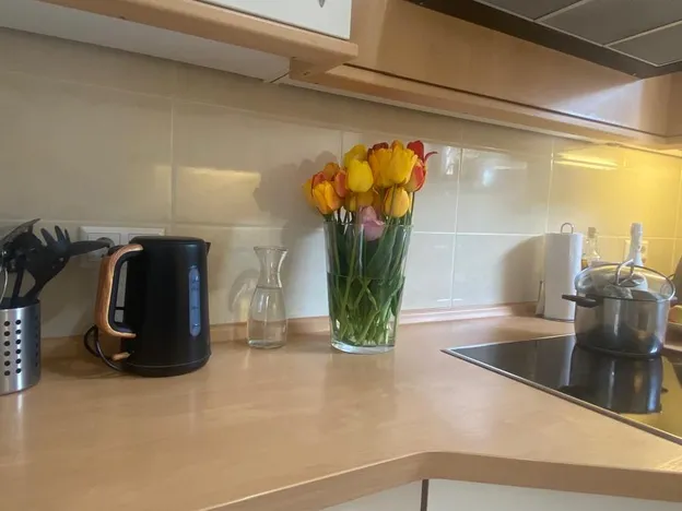 Apartmenthaus und Privatzimmer in Freiburg