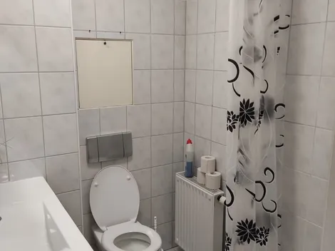 FLEX Aparts - Monteur- und Ferienwohnungen in Zwickau - 9