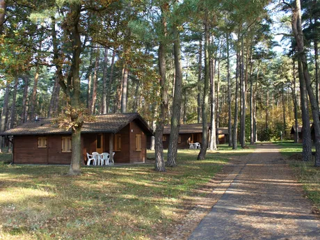 39326  Colbitz - Heide-Camp Colbitz