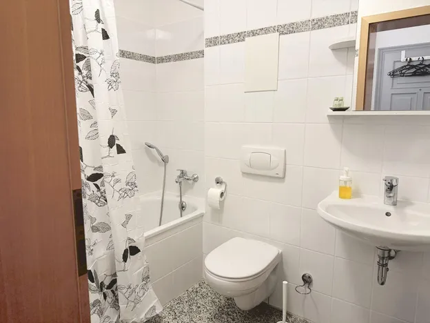 Homerent in Zwickau und Glauchau