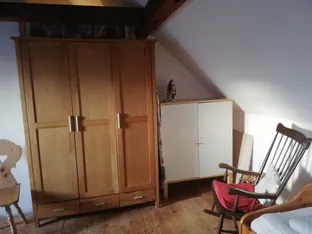 Holledauer Nest