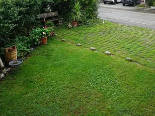 Wohnen im Grünen