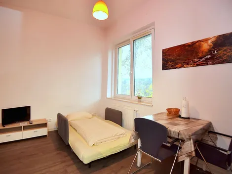 Monteurwohnungen-Suhl - 10