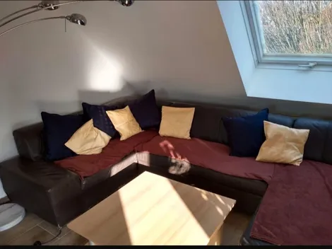 Pension Hahnenschrei - 13