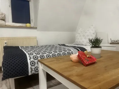 Visbro personal solutions kwatery pracownicze Leipzig +50 km - 12