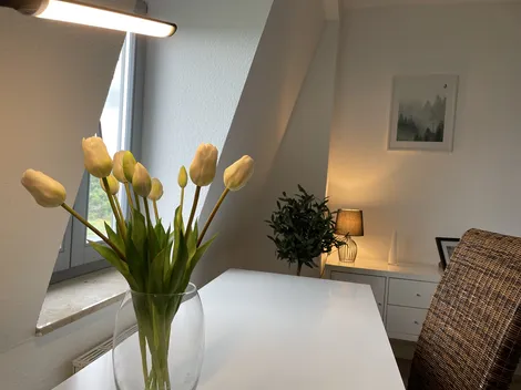 BERGSTROM Apartments & Monteurwohnungen - 11