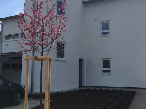 M-Appartments und Zimmer in Tübingen