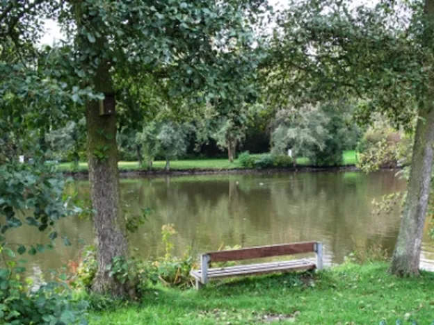 AdBurg-Hom