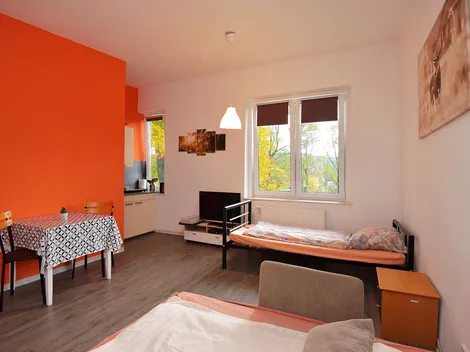 Monteurwohnungen-Suhl - 6