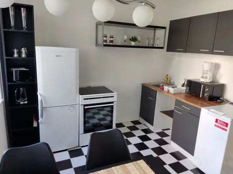 FLEX Aparts - Monteur- und Ferienwohnungen in Zwickau - 5