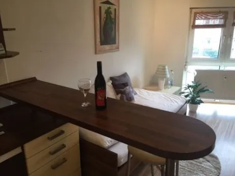 90429 Nürnberg - Ferienwohnung, Monteurzimmer, möbliertes Appartement an den Pegnitzauen