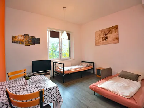 Monteurwohnungen-Suhl - 7