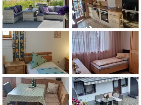 Ferienhof Fischerhof Elisabeth Stemp - 4