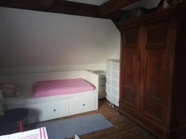 Holledauer Nest