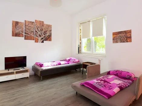 Monteurwohnungen-Suhl - 12