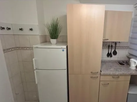 Monteurswohnung King - 10