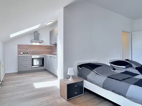 60 Betten ganzes Haus oder Apartments + Linz-Wels-Steyr-Umgebung mit Parkplatz, TOP Lage! - 7