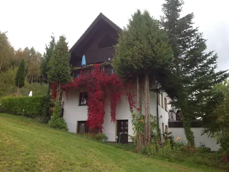 09468 Tannenberg - Waldblick