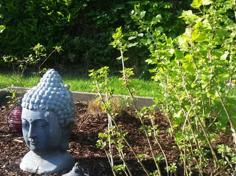 Ferienhaus am Deister - 7