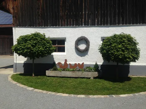 Rammelsberger Hof 25€