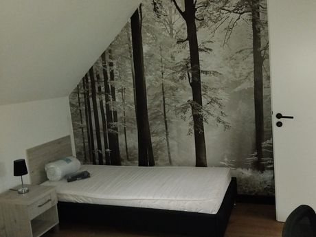 08056 Zwickau - Das beste im Zwickau