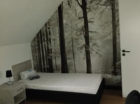 Zimmer im Zwickau - 4