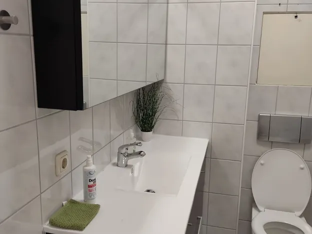 FLEX Aparts - Monteur- und Ferienwohnungen in Zwickau