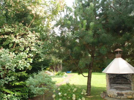 Villa Renoma 