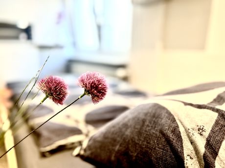 Comfybeds -Preiswerte Unterkunft Hamburg und Umland