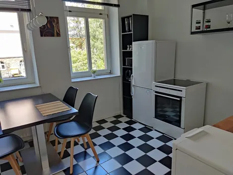 FLEX Aparts - Monteur- und Ferienwohnungen in Zwickau - 4