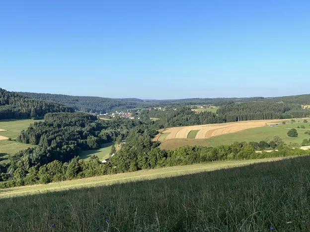 Rückzugsort am Waldrand