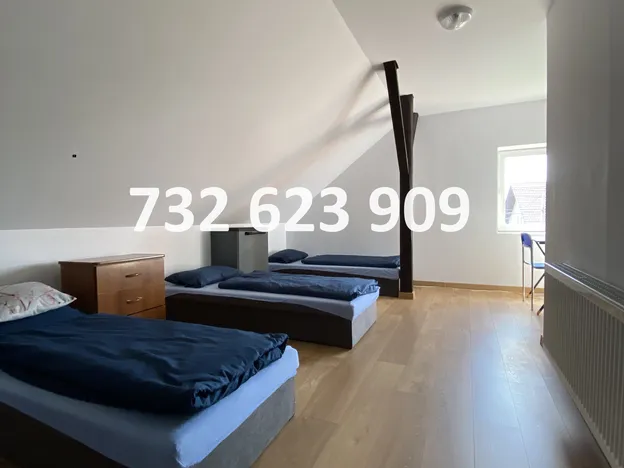 Niepołomice Pobiednik Wieliczka kilka hosteli