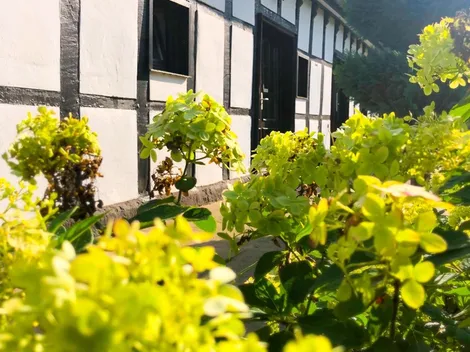 Ferienwohnungen Ferienhof Feldmann - 7