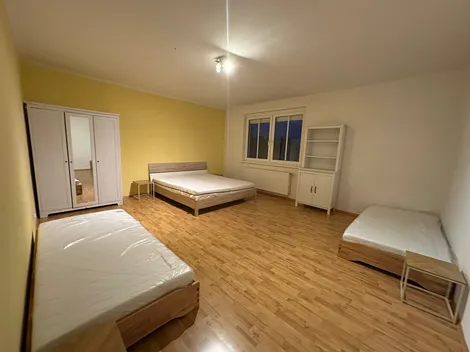 Wr. Neustadt Apartment