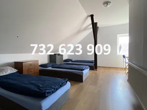 Niepołomice Pobiednik Wieliczka kilka hosteli