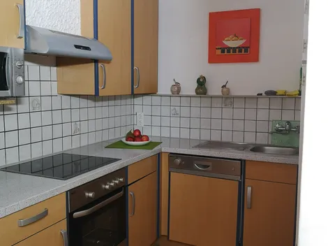 Kirchschlagerhof Monteurzimmer & Apartment - 10