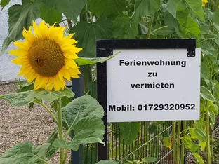 Ferienwohnung Kaack
