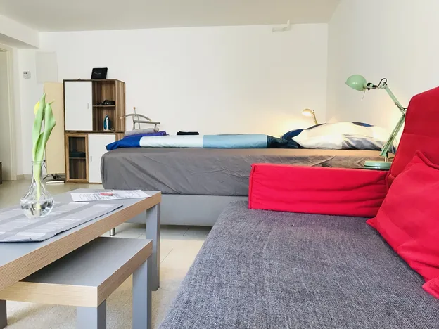 Vrljić home for you Mainz 